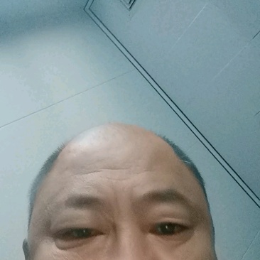 河北纯红薯粉面。纯地瓜粉。红薯团粉