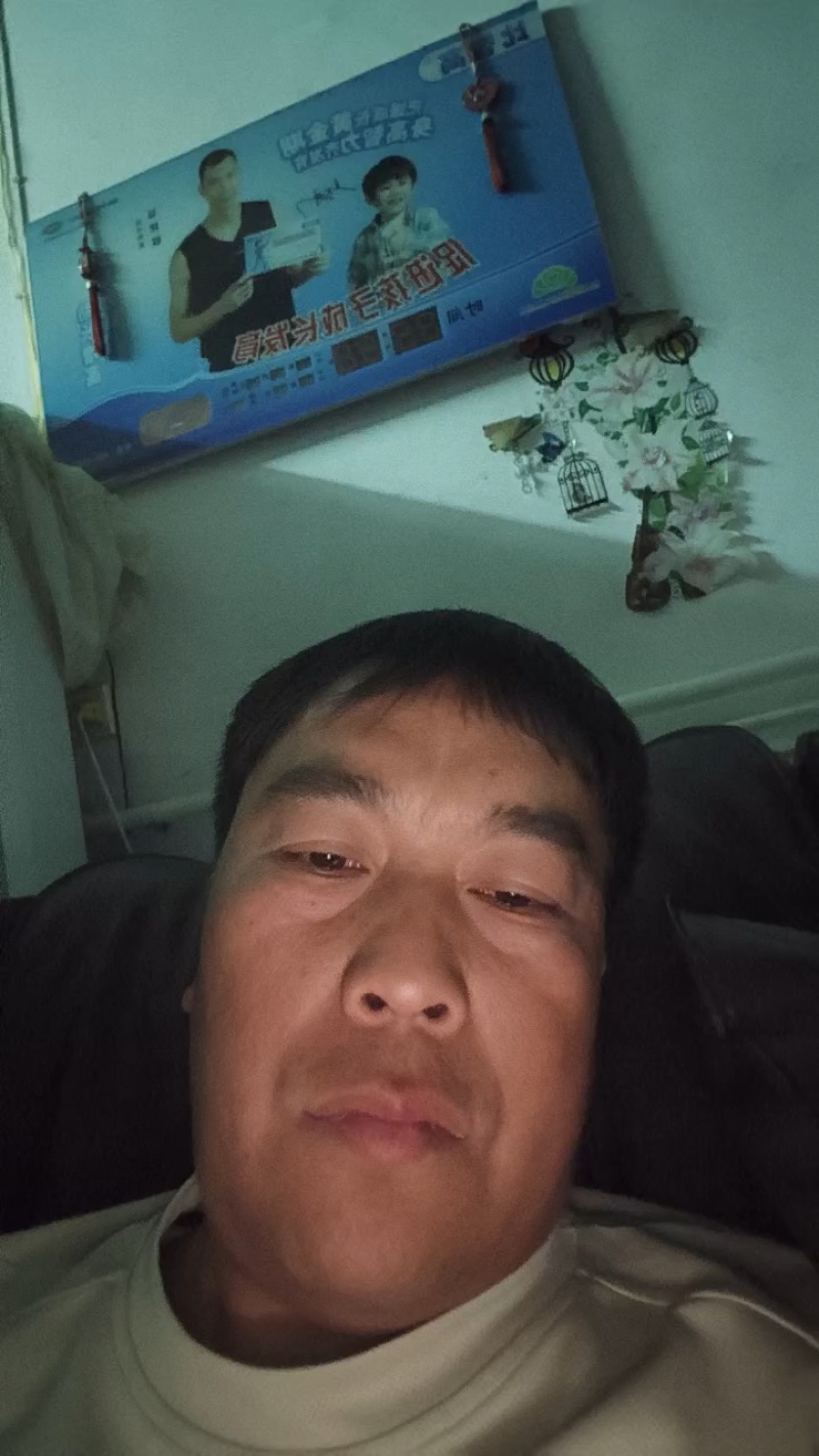 河北大白菜，黄心白菜大量有货对接各大批发市场电商