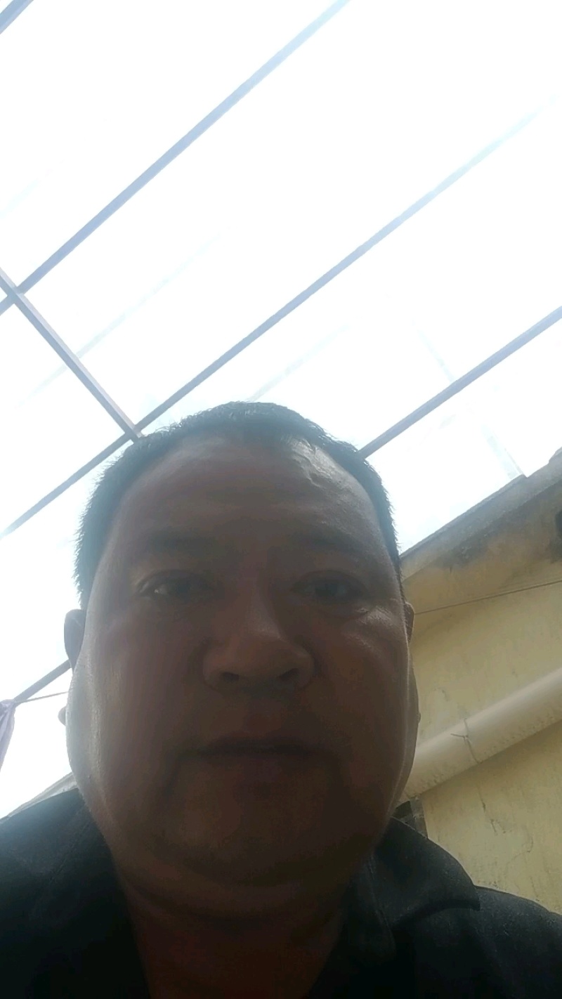 精品青叶莴笋，产地大量发货，专业诚信经营