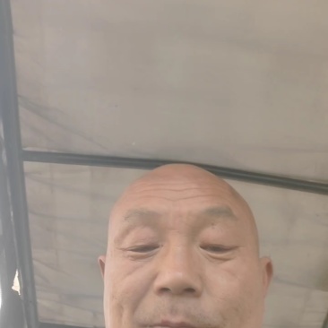 现摘现发口感西红柿，新鲜直达！