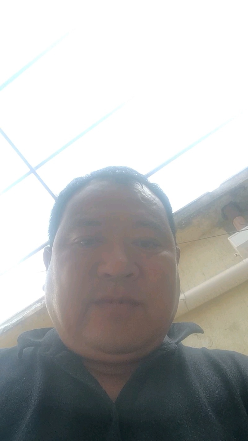 精品莴苣里外绿产地大量发货，专业诚信经营