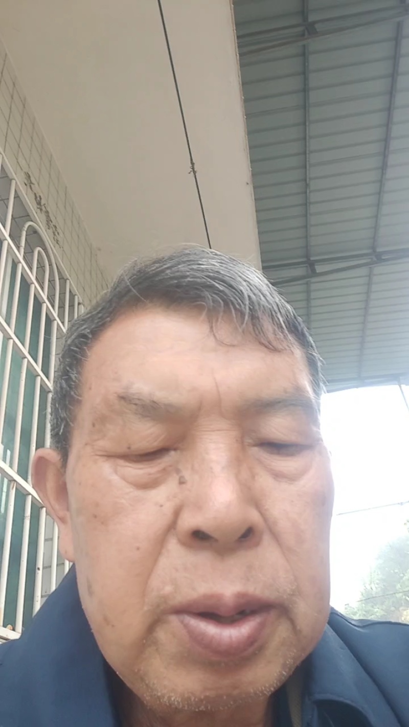 解放钟大枇杷，大果形，9斤左右泡沫箱装装。