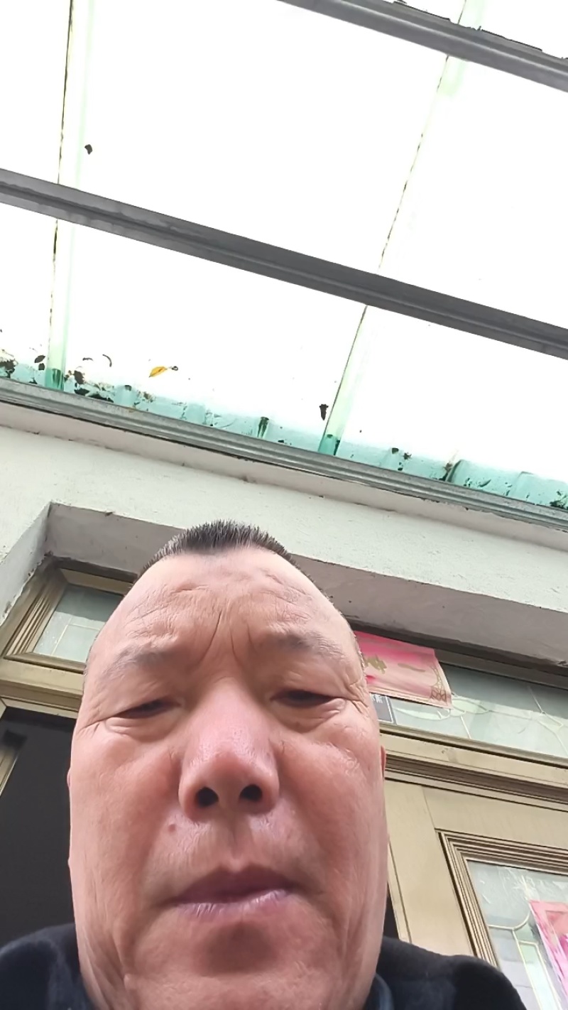 8公分以下的桂花树
