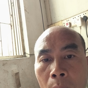 ***蜂蜜