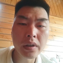 外贸专用，陕西周至海沃德绿心猕猴桃大量上市中，产地直发