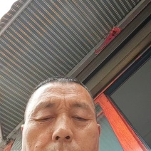 干竹笋