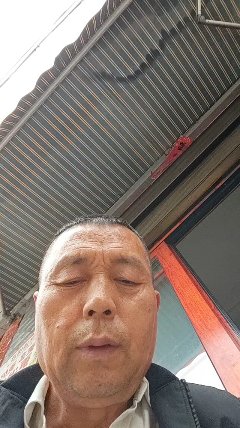 干竹笋