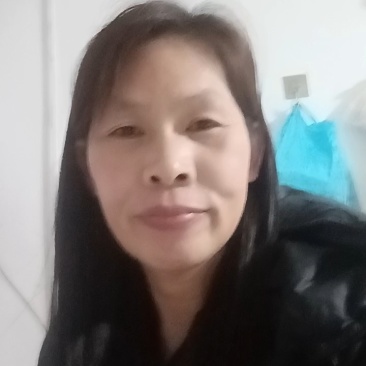 蒲公英干货