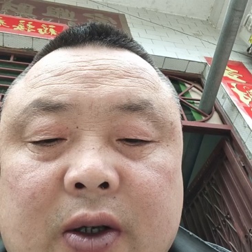 山茱萸