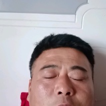 紫光园茄