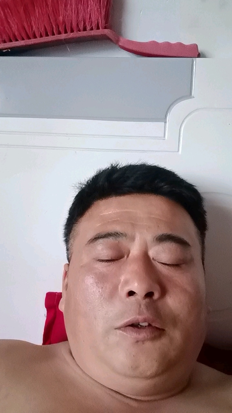 紫光园茄