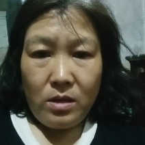 金银花苗，自产自销，价格便宜，成活率高，可以实地考察