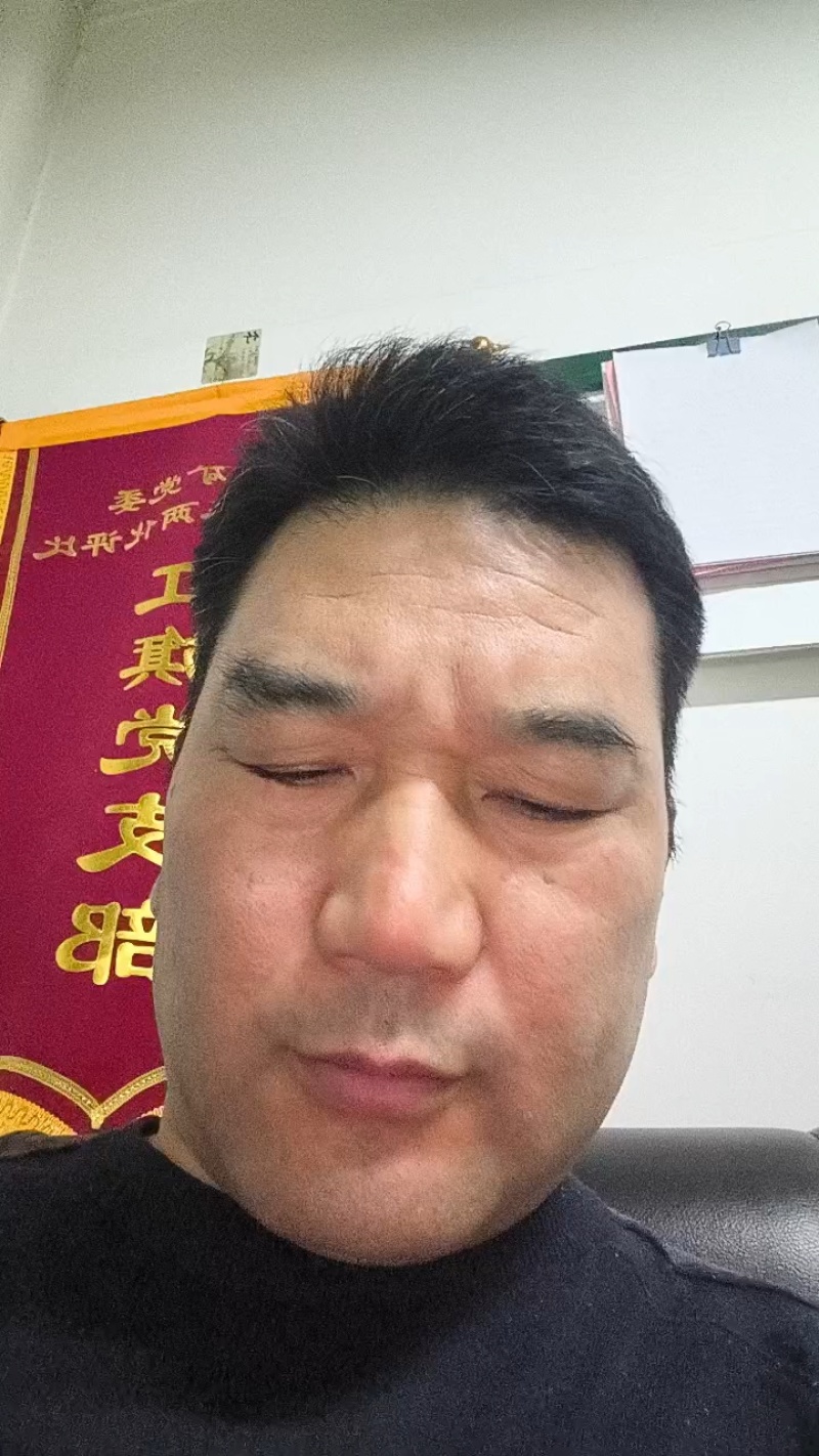 白皮松