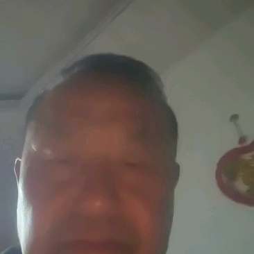 现货黄玉米货源充足价格优惠可视频看货代保存代运输一条龙