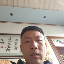 【实力】河北省辛集市鸭梨河北鸭梨，包脆包甜坏果包赔