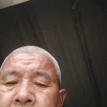 婆婆纳(双肾草)
