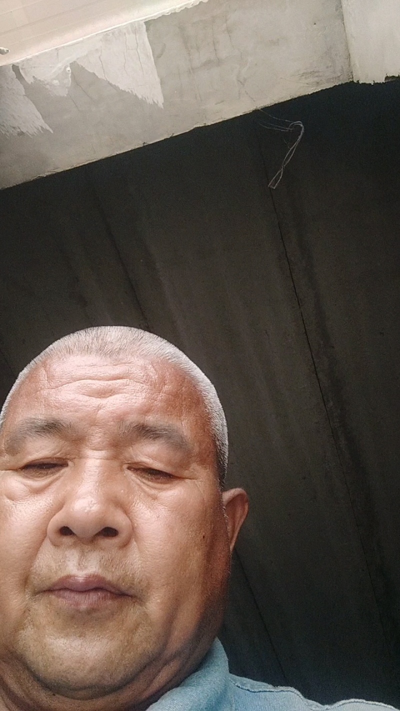 婆婆纳(双肾草)