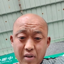 大量供应大棚油量黄瓜，质量好，货源充足，超市电商大型批发