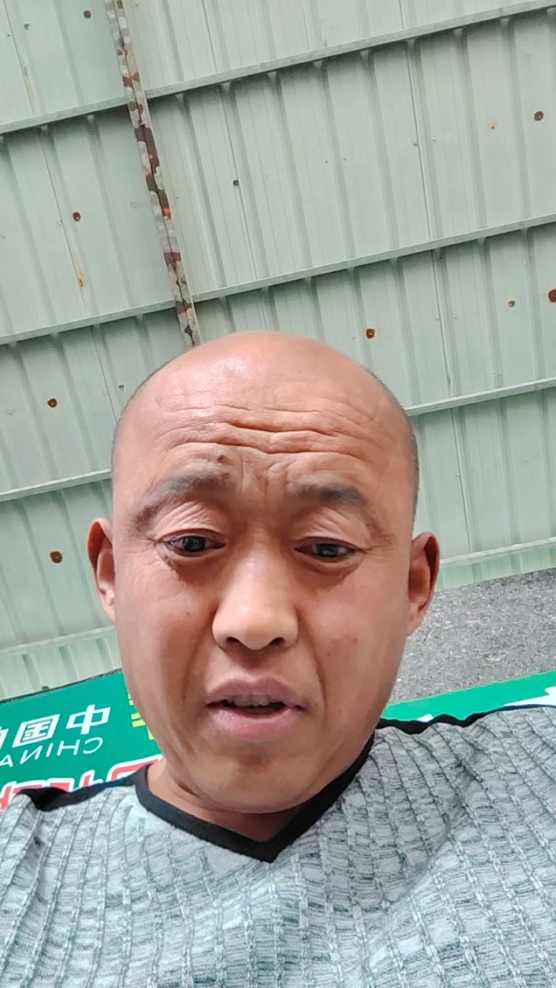 大量供应大棚油量黄瓜，质量好，货源充足，超市电商大型批发