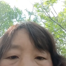 贝贝南瓜