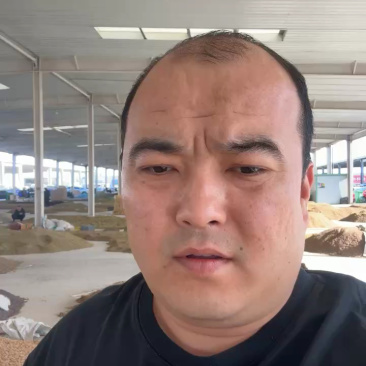 精品麻子葡萄干大量上市品质保证量大从优一手货源