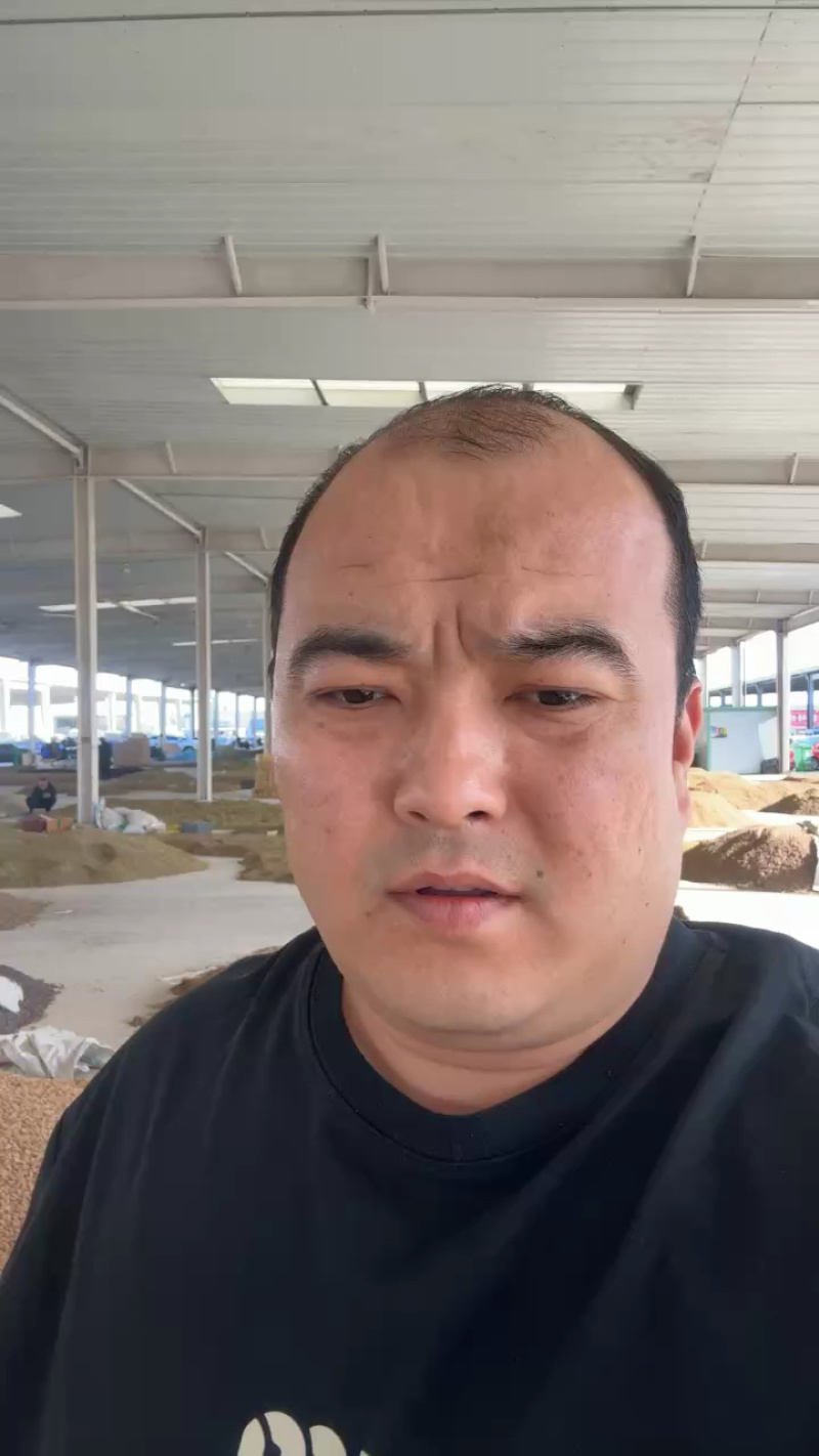 精品麻子葡萄干大量上市品质保证量大从优一手货源