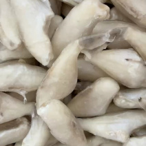 耗儿鱼小耗鱼马面鱼鲜冻剥皮鱼玻璃鱼扒皮鱼海鲜批发自助餐食