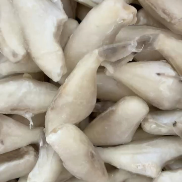 耗儿鱼小耗鱼马面鱼鲜冻剥皮鱼玻璃鱼扒皮鱼海鲜批发自助餐食