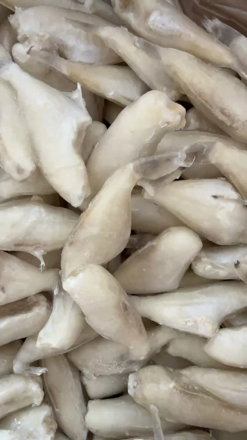 耗儿鱼小耗鱼马面鱼鲜冻剥皮鱼玻璃鱼扒皮鱼海鲜批发自助餐食
