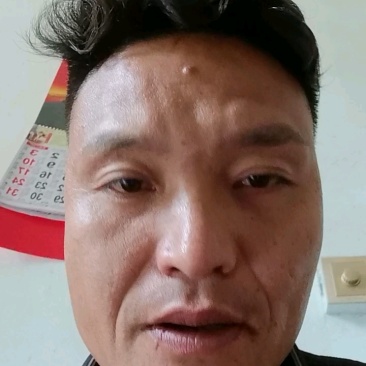 马尼拉草坪，