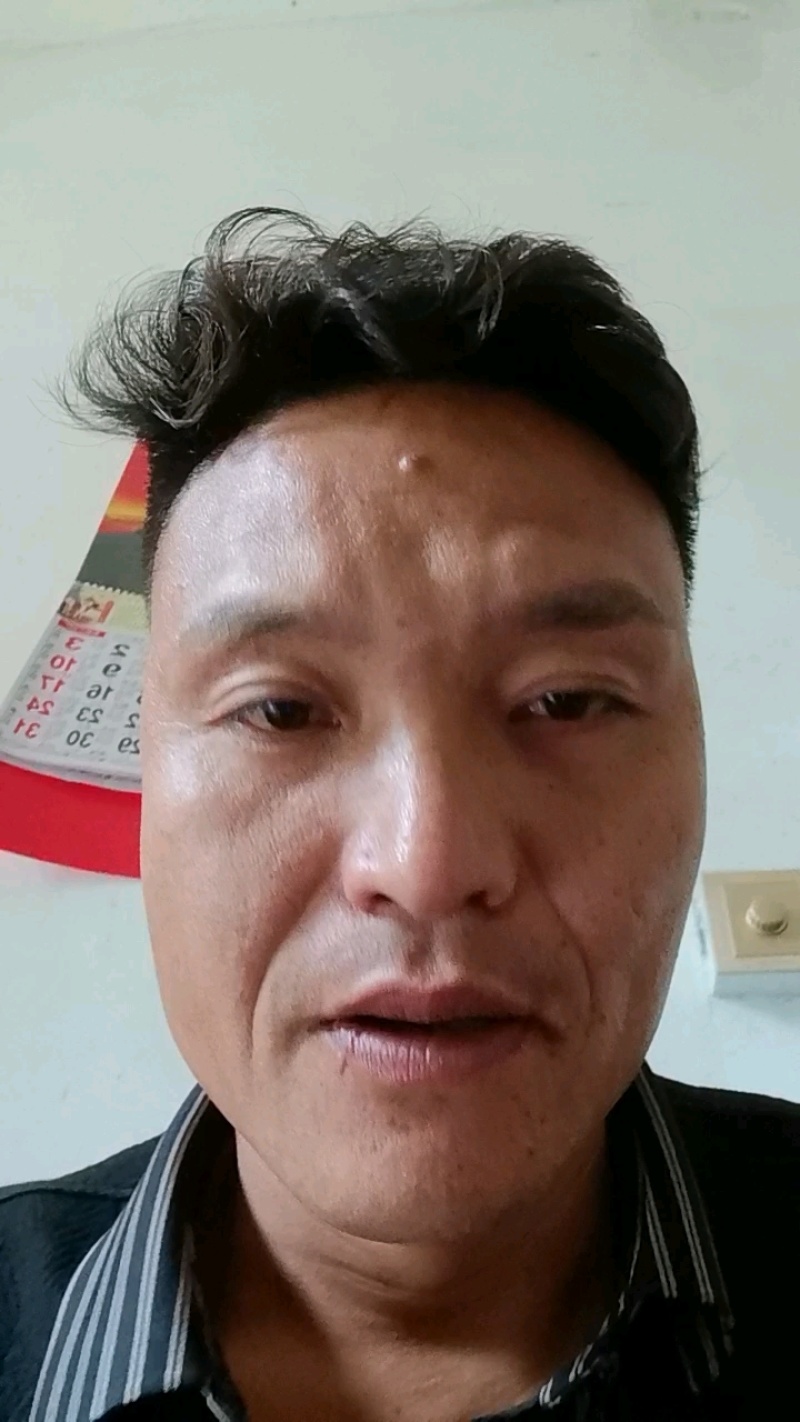 马尼拉草坪，