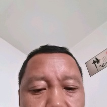 海南贵妃芒，台农，对接各大批发市场，电商欢迎采购
