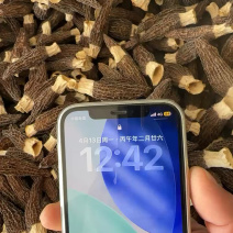 羊肚菌新货价格，不要用新货来比价格！