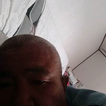 牛筋草产地直供全国发货欢迎采购量大从优支持视频看货