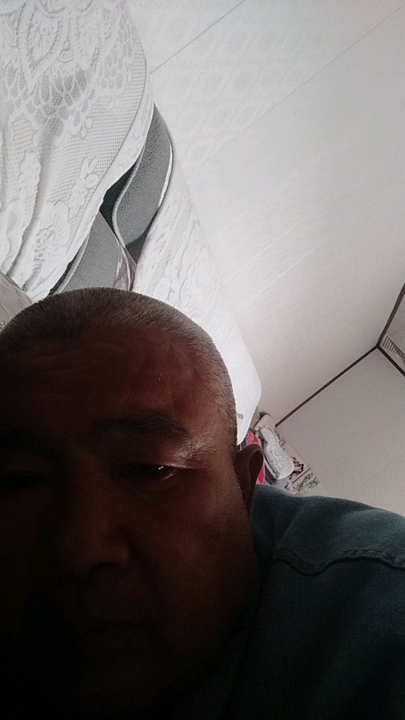 牛筋草产地直供全国发货欢迎采购量大从优支持视频看货