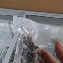 淡干海参
