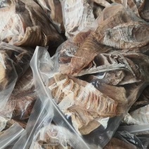 湖南郴州农家笋干批发干笋