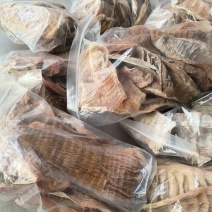 湖南毛笋笋干现货精品农家自制高山采摘