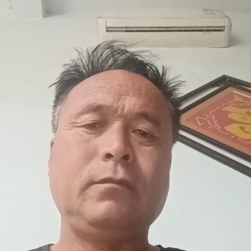 【热卖】惠民县大棚小叶菠菜量大质优诚信代办欢迎致电