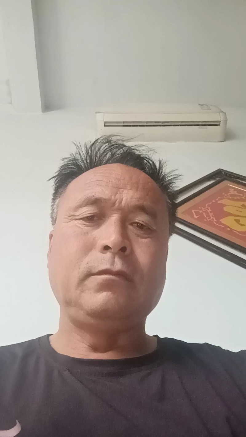 【热卖】惠民县大棚小叶菠菜量大质优诚信代办欢迎致电