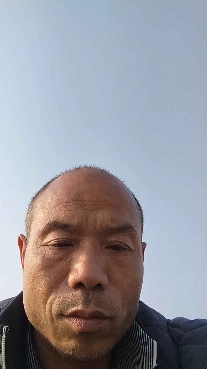 河南大叶韭菜大量供应中对接市场档口商超一条龙服务欢迎来电