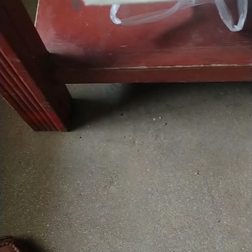 优选红皮紫皮洋葱产地批发，质量保证，坏烂包赔，全国发货