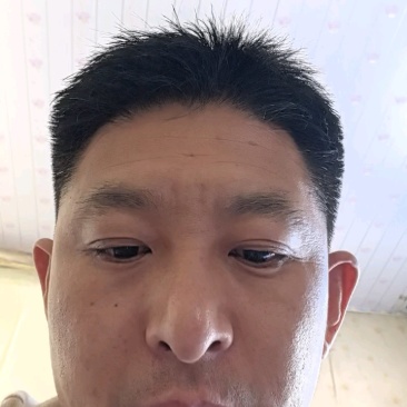 山东蓝莓产地价格优惠大量上市，全国发货欢迎咨询电话