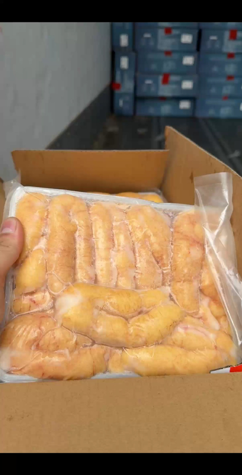 【工厂直发】特级黑鱼籽
