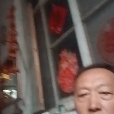 克伦生葡萄货源稳定对接市场电商商超社区团购，欢迎联系