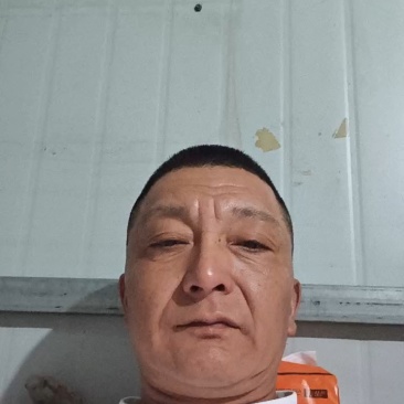 【牛商推荐】精选香芹产地现发，新鲜到家，量大从优