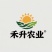 辽宁沈阳苏家屯油菜上海青新民油菜产地直发量大从优