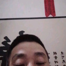 埃及鱼