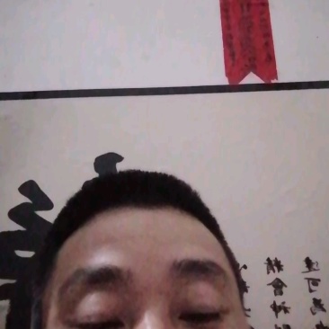 埃及鱼