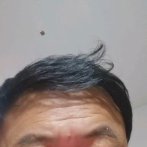 河南商丘精品西芹产地一手货源欢迎来电咨询优惠
